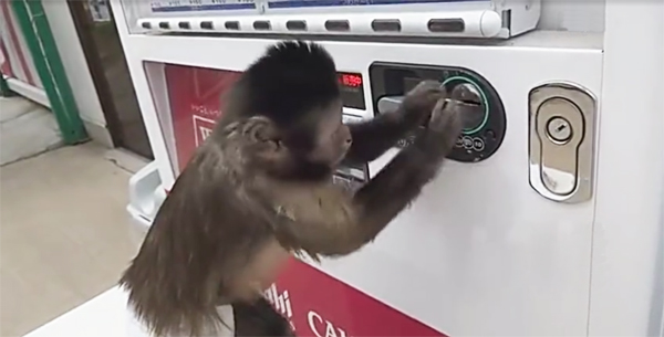 自動(dòng)售貨機